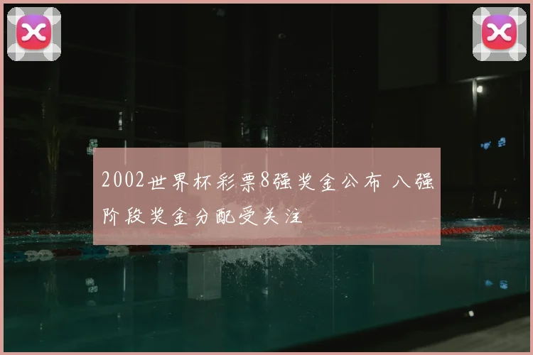 2002世界杯彩票8强奖金公布 八强阶段奖金分配受关注
