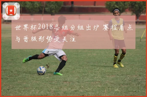 世界杯2018各组分组出炉 赛程看点与晋级形势受关注