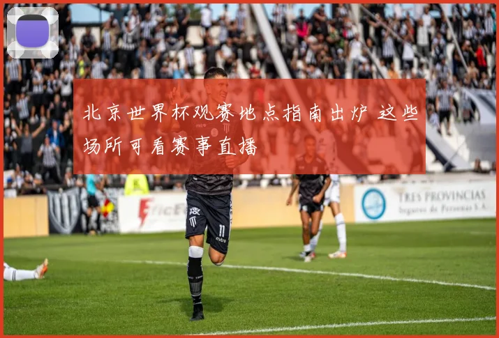 北京世界杯观赛地点指南出炉 这些场所可看赛事直播