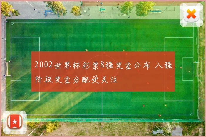 2002世界杯彩票8强奖金公布 八强阶段奖金分配受关注