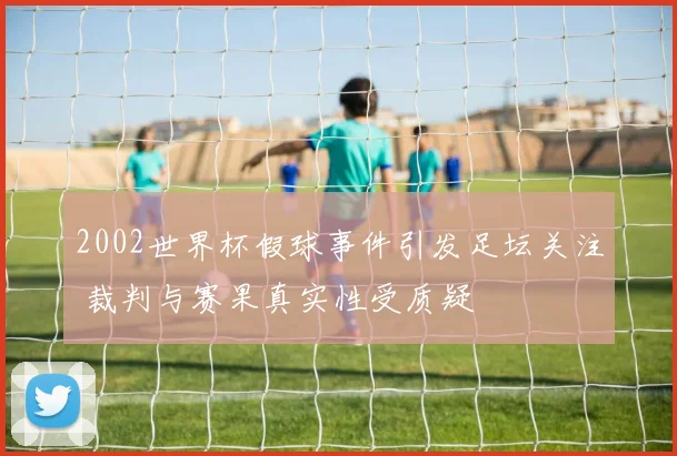 2002世界杯假球事件引发足坛关注 裁判与赛果真实性受质疑